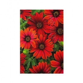 Обложка для паспорта матовая кожа с принтом Spring Flowers в городе Новоалтайск, натуральная матовая кожа | размер 19,3 х 13,7 см; прозрачные пластиковые крепления | 3d | flower | весна | другие | красивые цветы | красные | лето | поле | полевой цветок | прикольные | природа | текстуры | цветочки | цветы