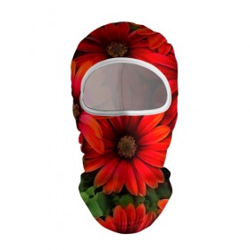 Балаклава 3D с принтом Spring Flowers в городе Новоалтайск, 100% полиэстер, ткань с особыми свойствами — Activecool | плотность 150–180 г/м2; хорошо тянется, но при этом сохраняет форму. Закрывает шею, вокруг отверстия для глаз кайма. Единый размер | 3d | flower | весна | другие | красивые цветы | красные | лето | поле | полевой цветок | прикольные | природа | текстуры | цветочки | цветы