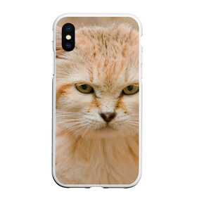 Чехол для iPhone XS Max матовый с принтом Рыжий кот в городе Новоалтайск, Силикон | Область печати: задняя сторона чехла, без боковых панелей | Тематика изображения на принте: грустный | добрый | животное | киса | киска кися | кот | котенок | котэ | кошка | красивый | лапа | лапка | ласковый | милый | моська | мурлыка | прикольный | смешной | унылый | усатый | шерсть