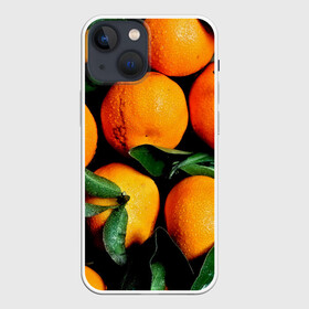Чехол для iPhone 13 mini с принтом Мандаринчики в городе Новоалтайск,  |  | зелень | оранжевый | цитрус | яркий