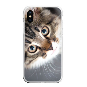 Чехол для iPhone XS Max матовый с принтом Кошачий взгляд в городе Новоалтайск, Силикон | Область печати: задняя сторона чехла, без боковых панелей | Тематика изображения на принте: грустный | добрый | животное | киса | киска кися | кот | котенок | котэ | кошка | красивый | лапа | лапка | ласковый | милый | моська | мурлыка | прикольный | смешной | унылый | усатый | шерсть