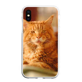 Чехол для iPhone XS Max матовый с принтом Рыжий кот в городе Новоалтайск, Силикон | Область печати: задняя сторона чехла, без боковых панелей | Тематика изображения на принте: грустный | добрый | животное | киса | киска кися | кот | котенок | котэ | кошка | красивый | лапа | лапка | ласковый | милый | моська | мурлыка | прикольный | смешной | унылый | усатый | шерсть