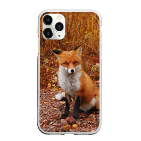 Чехол для iPhone 11 Pro матовый с принтом Лиса в городе Новоалтайск, Силикон |  | fox | животное | зверь | красивая | лес | лис | лиса | лисенок | лисица | лисичка | мех | патрикеевна | песец | плутовка | прикольная | природа | рыжая | рыжий цвет | сказка | хвост | хитрая | хищник