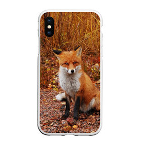 Чехол для iPhone XS Max матовый с принтом Лиса в городе Новоалтайск, Силикон | Область печати: задняя сторона чехла, без боковых панелей | Тематика изображения на принте: fox | животное | зверь | красивая | лес | лис | лиса | лисенок | лисица | лисичка | мех | патрикеевна | песец | плутовка | прикольная | природа | рыжая | рыжий цвет | сказка | хвост | хитрая | хищник