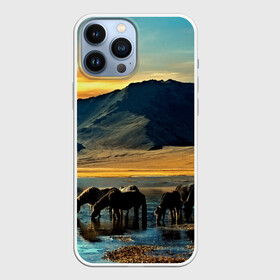 Чехол для iPhone 13 Pro Max с принтом Лошади в городе Новоалтайск,  |  | Тематика изображения на принте: 3d | берег | вода | горы | животное | закат | лошади | небо | прикольные | природа | река | солнце | яркие