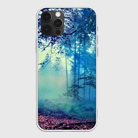 Чехол для iPhone 12 Pro Max с принтом Лес в городе Новоалтайск, Силикон |  | 3d | деревья | лес | пейзаж | природа | роща | туман