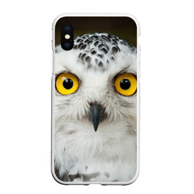 Чехол для iPhone XS Max матовый с принтом Белый филин в городе Новоалтайск, Силикон | Область печати: задняя сторона чехла, без боковых панелей | Тематика изображения на принте: глаза | клюв | когти | крылья | лес | летать | мудрая | мудрость | неясыть | ночная | ночь | охота | перья | полярная | почтовая | птица | серая | сова | совенок | сон | сыч | умная | филин | хищник