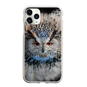 Чехол для iPhone 11 Pro матовый с принтом Сова в городе Новоалтайск, Силикон |  | Тематика изображения на принте: глаза | клюв | когти | крылья | лес | летать | мудрая | мудрость | неясыть | ночная | ночь | охота | перья | полярная | почтовая | птица | серая | сова | совенок | сон | сыч | умная | филин | хищник