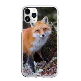 Чехол для iPhone 11 Pro матовый с принтом Лес в городе Новоалтайск, Силикон |  | fox | red | лиса | лисенок | рыжая
