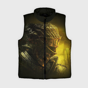 Женский жилет утепленный 3D с принтом Dark Souls III в городе Новоалтайск,  |  | Тематика изображения на принте: dark souls | praise the sun | you died | дарк соулс | темные души