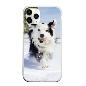 Чехол для iPhone 11 Pro матовый с принтом Snow в городе Новоалтайск, Силикон |  | dog | бордер | бордер колли | колли | пес | собака