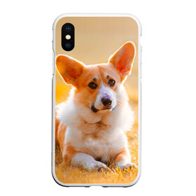 Чехол для iPhone XS Max матовый с принтом Взгляд в городе Новоалтайск, Силикон | Область печати: задняя сторона чехла, без боковых панелей | Тематика изображения на принте: dog | вельш корги | корги | пес | собака