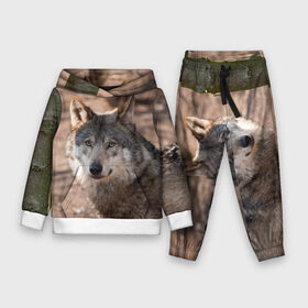 Детский костюм 3D (с толстовкой) с принтом Серый волк в городе Новоалтайск,  |  | аука | бирюк | волк | волчара | волчица | волчок | глаза | животное | животные | зверь | зеленые | койот | лес | млекопитающее | природа | санитар леса | серый | уши | фауна | хищник | черный | шакал