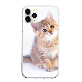 Чехол для iPhone 11 Pro Max матовый с принтом Любопытный котенок в городе Новоалтайск, Силикон |  | Тематика изображения на принте: грустный | добрый | животное | киса | киска кися | кот | котенок | котэ | кошка | красивый | лапа | лапка | ласковый | милый | моська | мурлыка | прикольный | смешной | унылый | усатый | шерсть