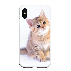 Чехол для iPhone XS Max матовый с принтом Любопытный котенок в городе Новоалтайск, Силикон | Область печати: задняя сторона чехла, без боковых панелей | Тематика изображения на принте: грустный | добрый | животное | киса | киска кися | кот | котенок | котэ | кошка | красивый | лапа | лапка | ласковый | милый | моська | мурлыка | прикольный | смешной | унылый | усатый | шерсть