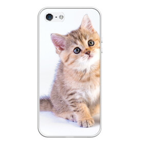 Чехол для iPhone 5/5S матовый с принтом Любопытный котенок в городе Новоалтайск, Силикон | Область печати: задняя сторона чехла, без боковых панелей | грустный | добрый | животное | киса | киска кися | кот | котенок | котэ | кошка | красивый | лапа | лапка | ласковый | милый | моська | мурлыка | прикольный | смешной | унылый | усатый | шерсть
