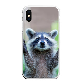 Чехол для iPhone XS Max матовый с принтом Восславим в городе Новоалтайск, Силикон | Область печати: задняя сторона чехла, без боковых панелей | raccoon | енот
