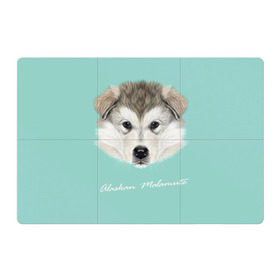 Магнитный плакат 3Х2 с принтом Alaskan Malamute в городе Новоалтайск, Полимерный материал с магнитным слоем | 6 деталей размером 9*9 см | Тематика изображения на принте: alaskan malamute | dog | puppy | маламут | собака | хаски | щенок