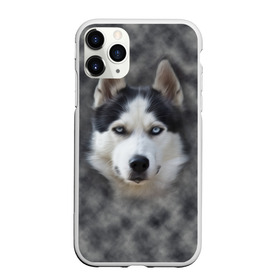 Чехол для iPhone 11 Pro Max матовый с принтом Хаска в городе Новоалтайск, Силикон |  | мордочка | пес | собака | хаска | щенок