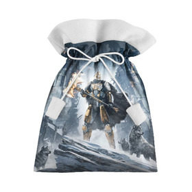 Подарочный 3D мешок с принтом Rise of Iron в городе Новоалтайск, 100% полиэстер | Размер: 29*39 см | destiny | destiny 2 | дестени | космос