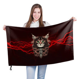 Флаг 3D с принтом Electro cat в городе Новоалтайск, 100% полиэстер | плотность ткани — 95 г/м2, размер — 67 х 109 см. Принт наносится с одной стороны | cat | взгляд | кот | кот хипстер | котёнок | котятки | кошка | молния | мордочка | разряд | электричество