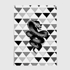 Постер с принтом Snake в городе Новоалтайск, 100% бумага
 | бумага, плотность 150 мг. Матовая, но за счет высокого коэффициента гладкости имеет небольшой блеск и дает на свету блики, но в отличии от глянцевой бумаги не покрыта лаком | 3d | snake | животные | змея | ползучие | хладнокровные | чешуя