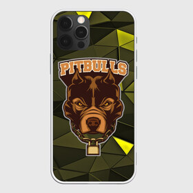 Чехол для iPhone 12 Pro Max с принтом Pitbulls в городе Новоалтайск, Силикон |  | Тематика изображения на принте: dog | pitbulls | абстракция | геометрия | животные | собака | треугольники | цепь
