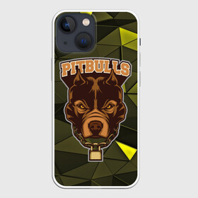 Чехол для iPhone 13 mini с принтом Pitbulls в городе Новоалтайск,  |  | dog | pitbulls | абстракция | геометрия | животные | собака | треугольники | цепь
