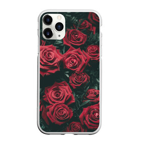 Чехол для iPhone 11 Pro Max матовый с принтом Бархатные розы в городе Новоалтайск, Силикон |  | бархат | бутоны | роза | розы | цветы