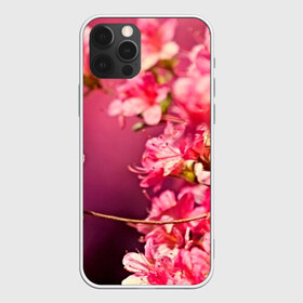 Чехол для iPhone 12 Pro Max с принтом Сакура в городе Новоалтайск, Силикон |  | 3d | flower | nature | pink | sakura | весна | деревья | природа | розовый | сакура | цветы | япония