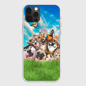 Чехол для iPhone 12 Pro с принтом Пет-селфи в городе Новоалтайск, силикон | область печати: задняя сторона чехла, без боковых панелей | pet | вери | кот | лягушка | мопс | морская свинка | пет селфи | попугай | селфи | хаски | хомяк