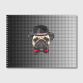 Альбом для рисования с принтом Mr Pug в городе Новоалтайск, 100% бумага
 | матовая бумага, плотность 200 мг. | Тематика изображения на принте: animal | dog | pet | pug | puppy | арт | горошек | джентльмен | животные | кружочки | мопс | мопсик | пес | собаки | текстура | французский бульдог