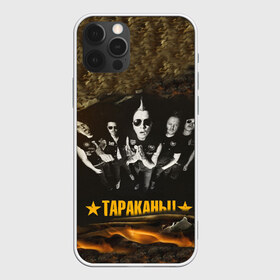 Чехол для iPhone 12 Pro Max с принтом Тараканы в городе Новоалтайск, Силикон |  | Тематика изображения на принте: александр пронин | василий лопатин | дмитрий кежватов | дмитрий спирин