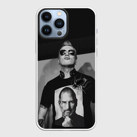 Чехол для iPhone 13 Pro Max с принтом Тараканы в городе Новоалтайск,  |  | Тематика изображения на принте: 