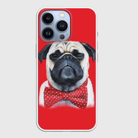 Чехол для iPhone 13 Pro с принтом Довольный мопс в городе Новоалтайск,  |  | Тематика изображения на принте: бабочка | друг | животное | зверь | мопс | собака | щенок