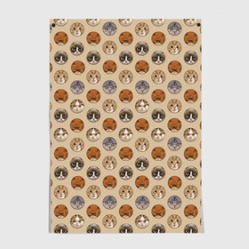 Постер Коты: в городе Новоалтайск, 100% бумага
 | бумага, плотность 150 мг. Матовая, но за счет высокого коэффициента гладкости имеет небольшой блеск и дает на свету блики, но в отличии от глянцевой бумаги не покрыта лаком | cat | grumpy cat | polka dot | горох | горошек | грустный кот | кот | котик | коты | мемы | рыжий кот