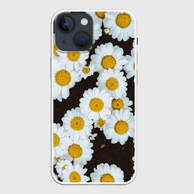 Чехол для iPhone 13 mini с принтом АРОМАШКИ | РОМАШКИ | 8 МАРТА, в городе Новоалтайск,  |  | белый | желтый | красивые | красота | мода | модные | природа | растения | ромашка | ромашки | текстура | тренды | цветы