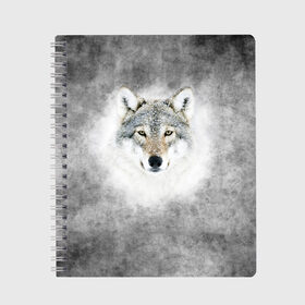 Тетрадь с принтом Wolf в городе Новоалтайск, 100% бумага | 48 листов, плотность листов — 60 г/м2, плотность картонной обложки — 250 г/м2. Листы скреплены сбоку удобной пружинной спиралью. Уголки страниц и обложки скругленные. Цвет линий — светло-серый
 | animal | snow | волк | животные | снег | хищник