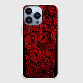 Чехол для iPhone 13 Pro с принтом RED ROSES   КРАСНЫЕ РОЗЫ в городе Новоалтайск,  |  | Тематика изображения на принте: букет | красный | лепестки | модные | полосы | природа | растения | розочки | розы | сад | тренды | цвет | цветы | черный