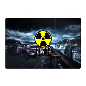 Магнитный плакат 3Х2 с принтом S.T.A.L.K.E.R. - С.Е.Р.Г.Е.Й. в городе Новоалтайск, Полимерный материал с магнитным слоем | 6 деталей размером 9*9 см | stalker | волки | грузовик | имя | мрак | припять | птицы | радиация | серега | сережа | сталкер | чернобыль