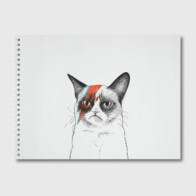 Альбом для рисования Grumpy cat (David Bowie): в городе Новоалтайск, 100% бумага
| матовая бумага, плотность 200 мг. | бодиарт | грумпи | дэвид боуи | злой кот | интернет | котей | котик | кошка | мем | мемас | мемчик. | молния на лице | рисунок на лице | сердитый
