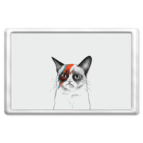 Магнит 45*70 с принтом Grumpy cat (David Bowie) в городе Новоалтайск, Пластик | Размер: 78*52 мм; Размер печати: 70*45 | Тематика изображения на принте: бодиарт | грумпи | дэвид боуи | злой кот | интернет | котей | котик | кошка | мем | мемас | мемчик. | молния на лице | рисунок на лице | сердитый