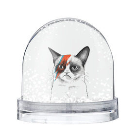 Снежный шар с принтом Grumpy cat (David Bowie) в городе Новоалтайск, Пластик | Изображение внутри шара печатается на глянцевой фотобумаге с двух сторон | бодиарт | грумпи | дэвид боуи | злой кот | интернет | котей | котик | кошка | мем | мемас | мемчик. | молния на лице | рисунок на лице | сердитый