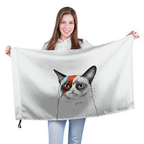 Флаг 3D с принтом Grumpy cat (David Bowie) в городе Новоалтайск, 100% полиэстер | плотность ткани — 95 г/м2, размер — 67 х 109 см. Принт наносится с одной стороны | бодиарт | грумпи | дэвид боуи | злой кот | интернет | котей | котик | кошка | мем | мемас | мемчик. | молния на лице | рисунок на лице | сердитый
