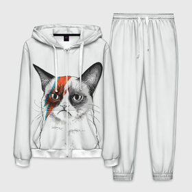 Мужской костюм 3D с принтом Grumpy cat (David Bowie) в городе Новоалтайск, 100% полиэстер | Манжеты и пояс оформлены тканевой резинкой, двухслойный капюшон со шнурком для регулировки, карманы спереди | Тематика изображения на принте: бодиарт | грумпи | дэвид боуи | злой кот | интернет | котей | котик | кошка | мем | мемас | мемчик. | молния на лице | рисунок на лице | сердитый