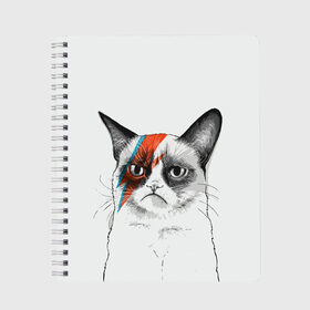 Тетрадь с принтом Grumpy cat (David Bowie) в городе Новоалтайск, 100% бумага | 48 листов, плотность листов — 60 г/м2, плотность картонной обложки — 250 г/м2. Листы скреплены сбоку удобной пружинной спиралью. Уголки страниц и обложки скругленные. Цвет линий — светло-серый
 | бодиарт | грумпи | дэвид боуи | злой кот | интернет | котей | котик | кошка | мем | мемас | мемчик. | молния на лице | рисунок на лице | сердитый