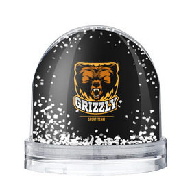 Водяной шар с принтом GTIZZLY(sport team) в городе Новоалтайск, Пластик | Изображение внутри шара печатается на глянцевой фотобумаге с двух сторон | bear | grizzly | гризли | медведь | ярость