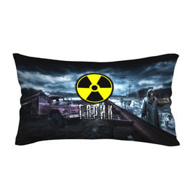 Подушка 3D антистресс с принтом S.T.A.L.K.E.R. - Г.А.Р.И.К. в городе Новоалтайск, наволочка — 100% полиэстер, наполнитель — вспененный полистирол | состоит из подушки и наволочки на молнии | stalker | волки | гарик | грузовик | игорь | имя | мрак | припять | птицы | радиация | сталкер | чернобыль