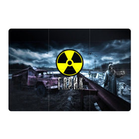 Магнитный плакат 3Х2 с принтом S.T.A.L.K.E.R. - Г.А.Р.И.К. в городе Новоалтайск, Полимерный материал с магнитным слоем | 6 деталей размером 9*9 см | Тематика изображения на принте: stalker | волки | гарик | грузовик | игорь | имя | мрак | припять | птицы | радиация | сталкер | чернобыль