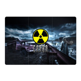 Магнитный плакат 3Х2 с принтом S.T.A.L.K.E.R. - С.Л.А.В.А. в городе Новоалтайск, Полимерный материал с магнитным слоем | 6 деталей размером 9*9 см | stalker | волки | вячеслав | грузовик | имя | мрак | припять | птицы | радиация | слава | славик | сталкер | чернобыль